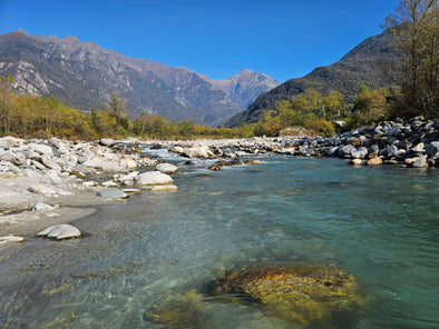 My Experience at the European Fly Fishing Championships 2025: Session 2, River Mera