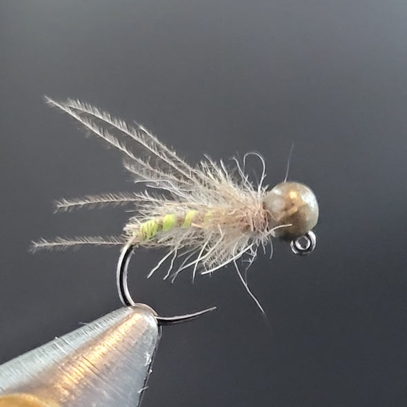 nymphe tungstène Caddis Orl Jaune, Vente Mouches Artificielles Nymphes nymphe tungstène Caddis Orl Jaune, Vente Mouches Artificielles Nymphes