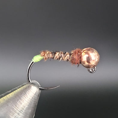 Chateauguay Cased Caddis