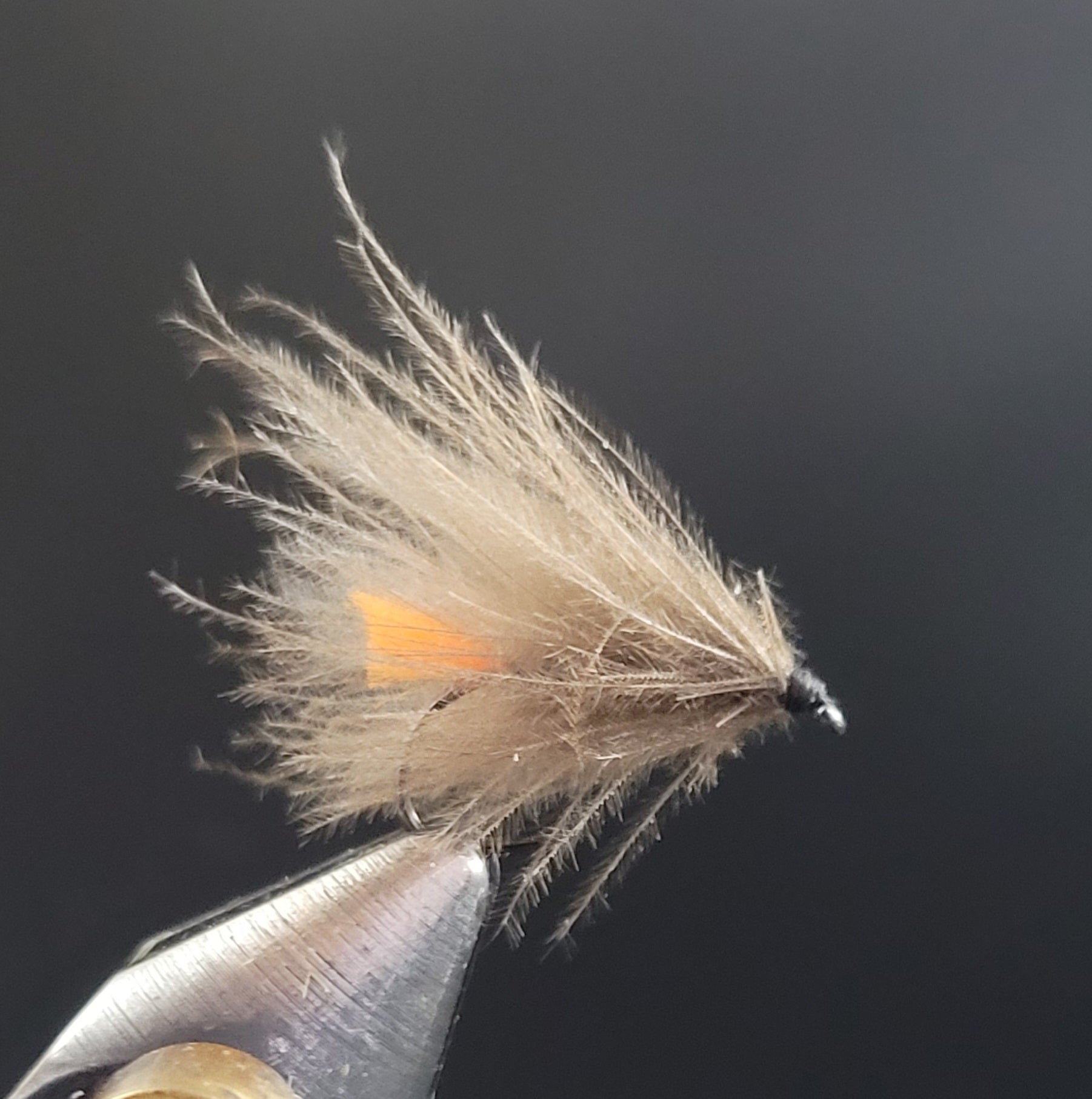 CDC Caddis – Smart Angling
