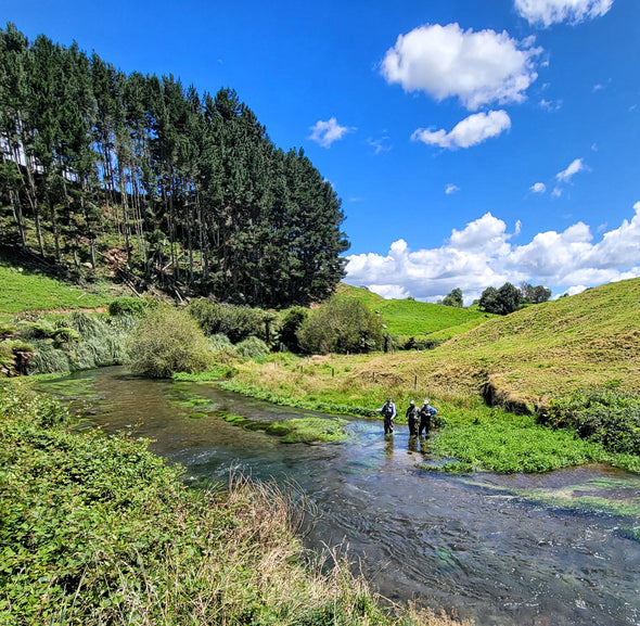 New Zealand 2023: Photo Gallery